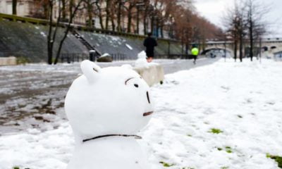 lyon-neige-printemps (1)