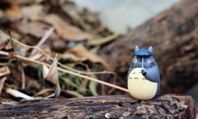 totoro